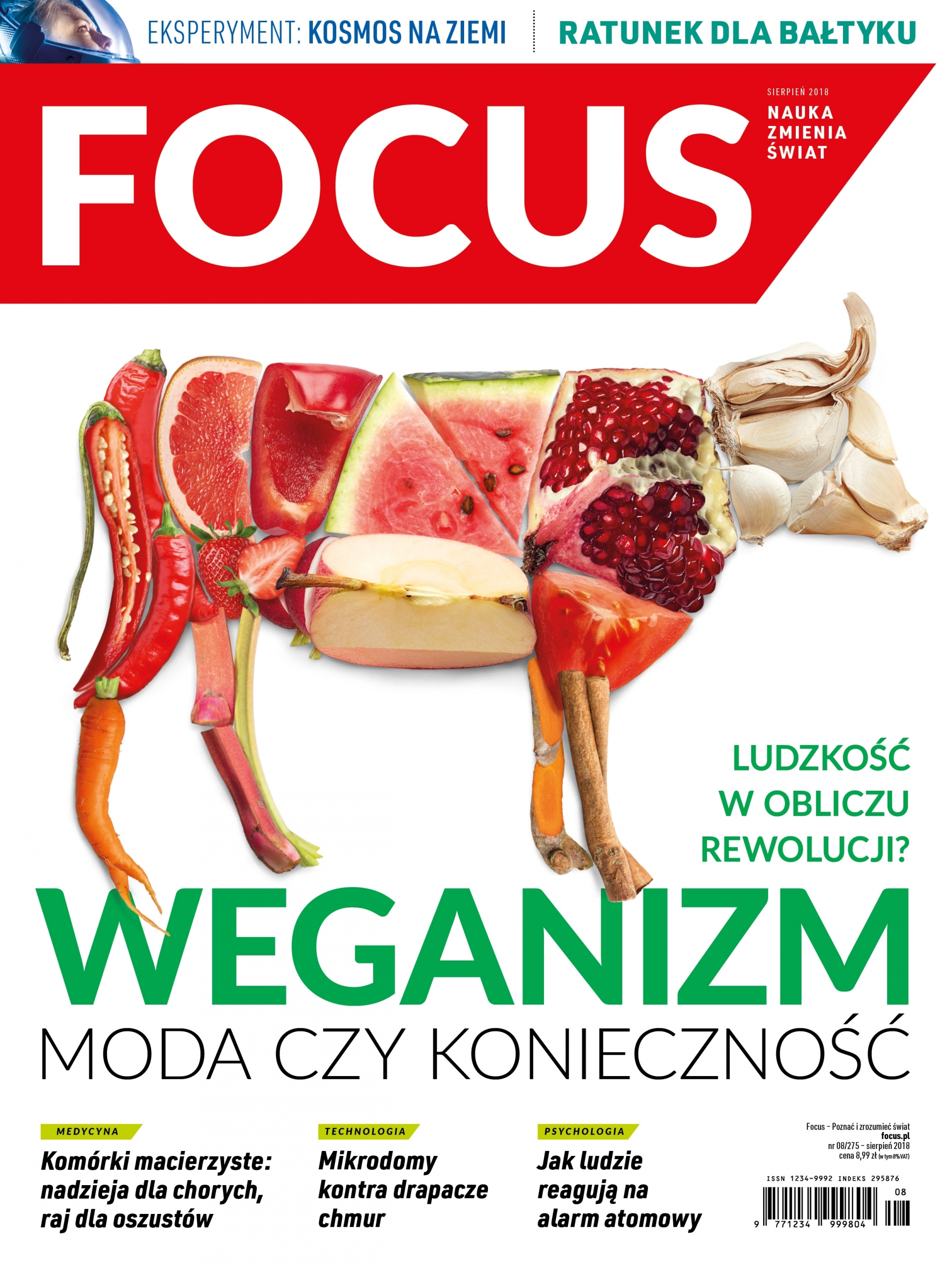 Focus: Jak mózg reaguje w obliczu zagrożenia?